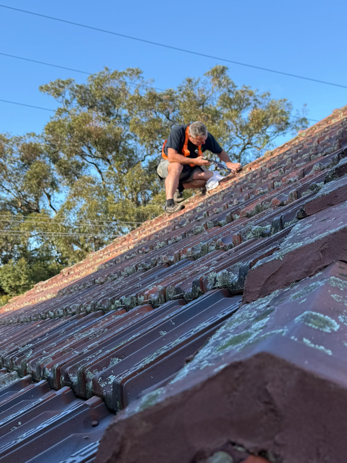 Tradie in hi-vis repointing terracotta roof tiles on a steep pitch